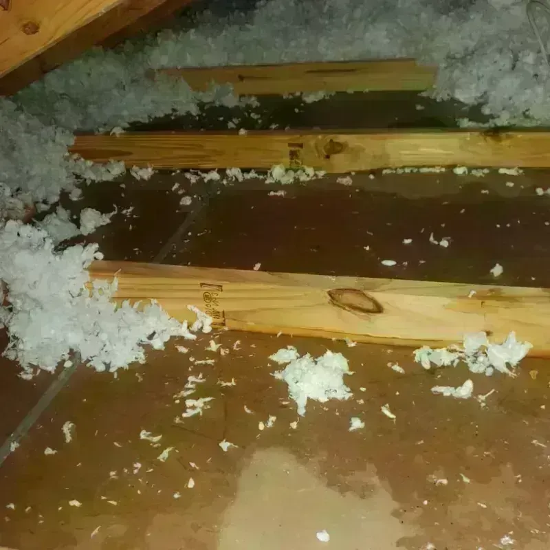 Attic Water Damage in San Augustine County, TX